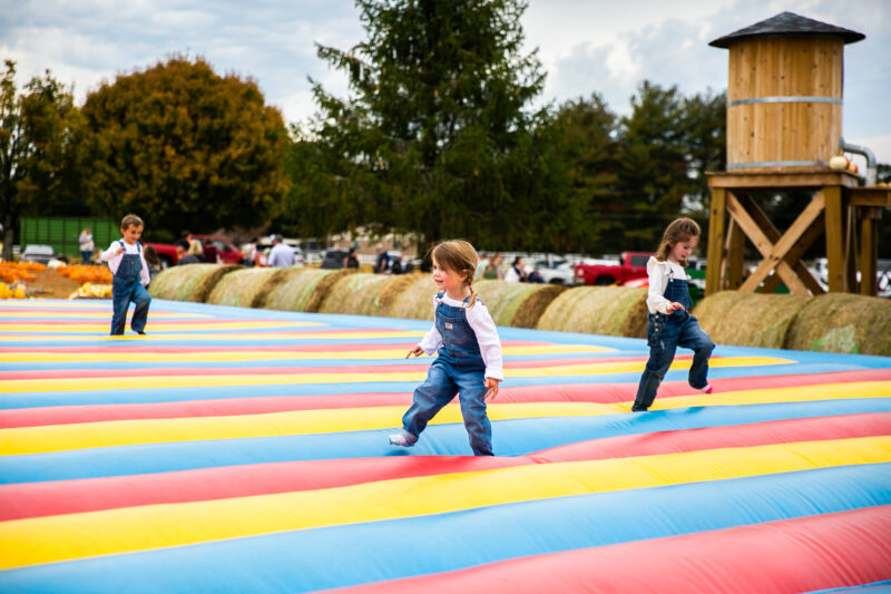 Children playing at the park