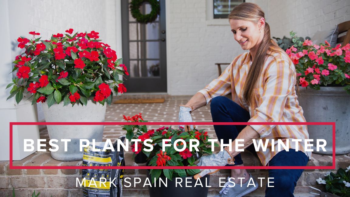 Maintain Curb Appeal In The Winter To Attract Buyers