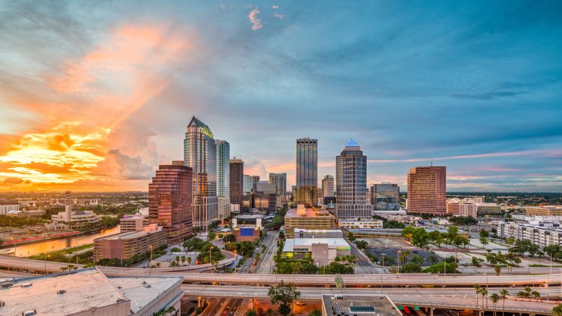 Explore the beauty of Tampa