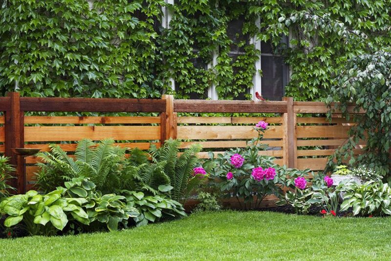 Renovating Your Outdoor Space With Mark Spain Real Estate
